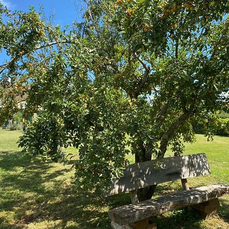 Les Feuilles Jaunes Chantenay-Saint-Imbert 外观 照片