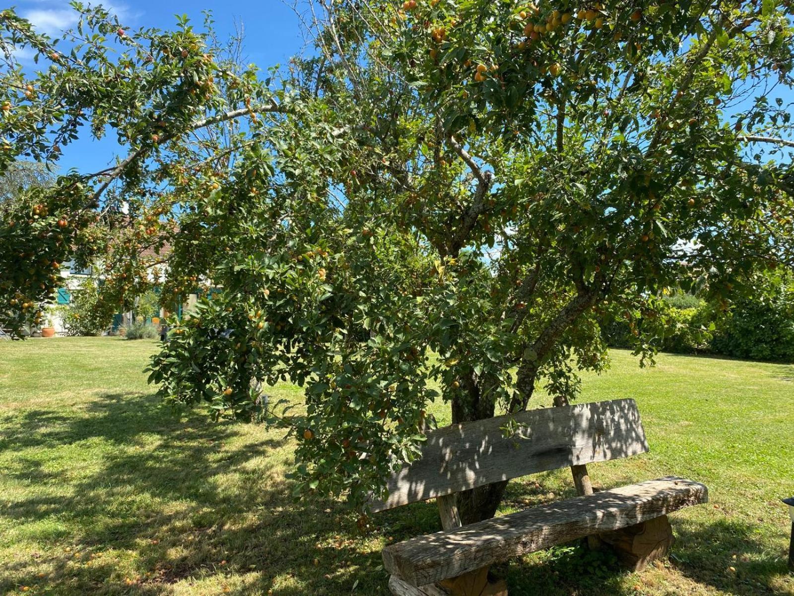 Les Feuilles Jaunes Chantenay-Saint-Imbert 外观 照片