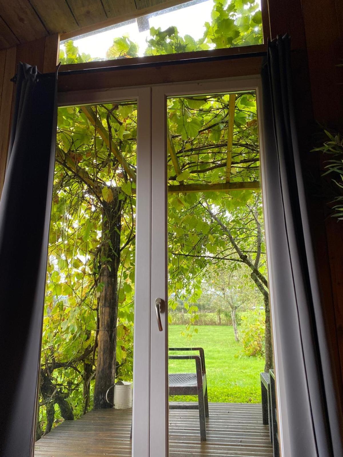 Les Feuilles Jaunes Chantenay-Saint-Imbert 外观 照片